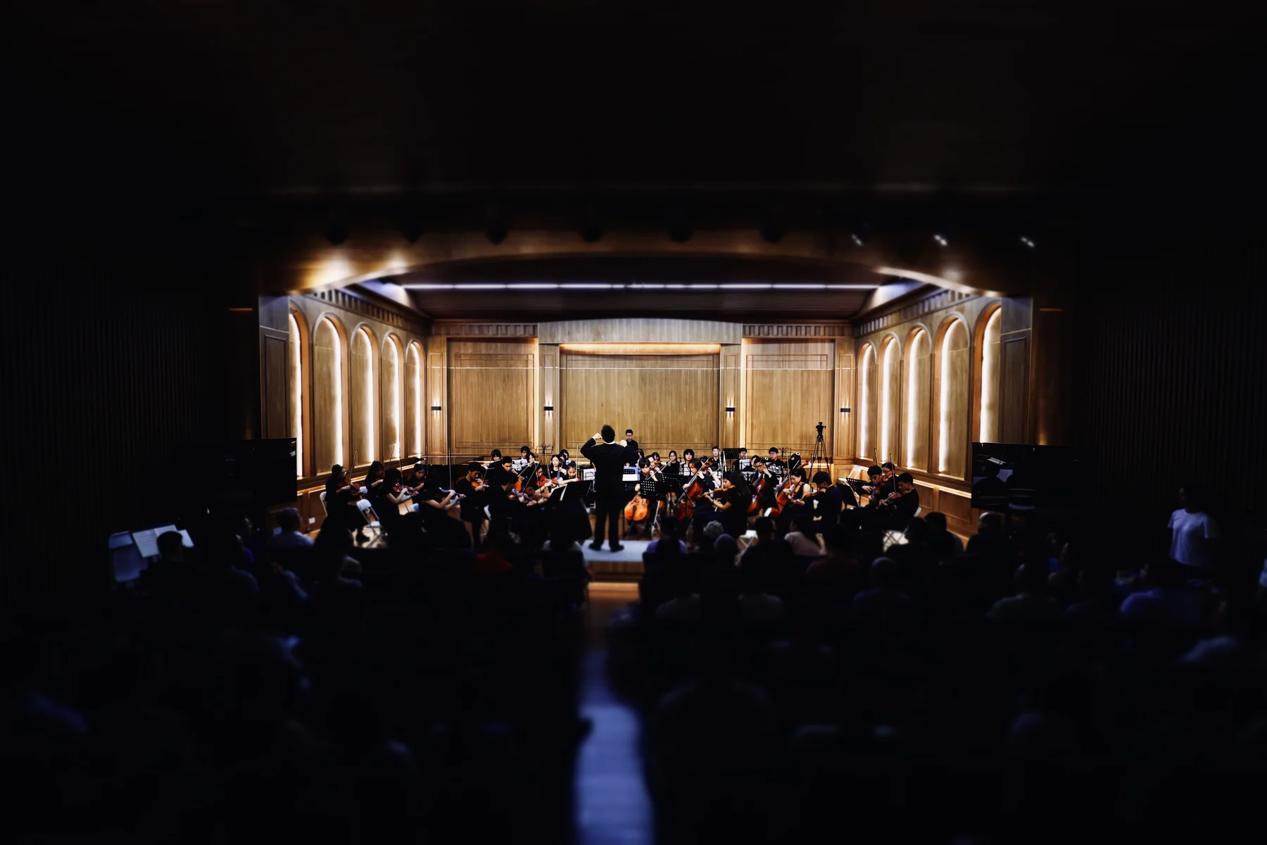 Unrestrained Orchestra — image 2